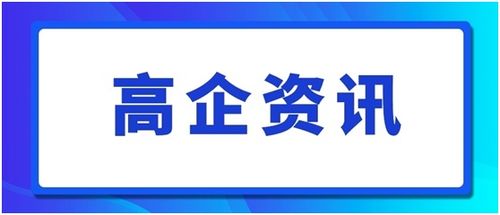 构建知识产权保护网 政策框架、策略与实施路径