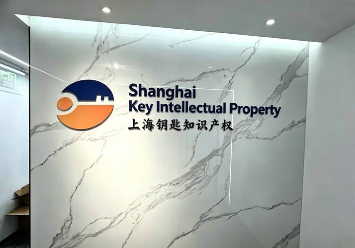 2026年深圳求能指导美国外观专利知识产权归属约定的公司用户力荐